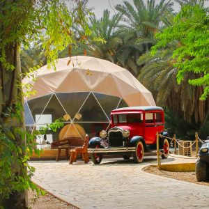 باقة الدخول اليومي